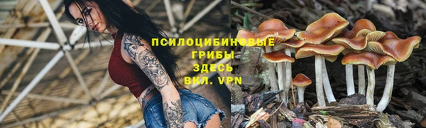 кокс Абдулино
